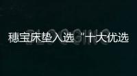穗寶床墊入選“十大優(yōu)選軟體家居(床/床墊)品牌”