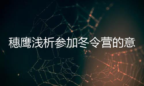 穗鷹淺析參加冬令營的意義
