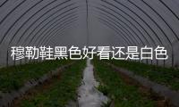 穆勒鞋黑色好看還是白色好看 穆勒鞋需要選大一碼嗎