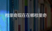 穆里奇現(xiàn)在在哪穆里奇