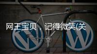 網(wǎng)王寶貝，記得微笑(關(guān)于網(wǎng)王寶貝，記得微笑簡(jiǎn)述)