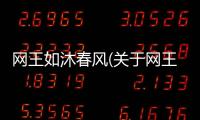 網王如沐春風(關于網王如沐春風簡述)