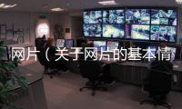 網片（關于網片的基本情況說明介紹）