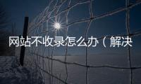 網站不收錄怎么辦（解決秒收錄的2個核心方法）