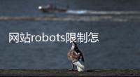 網(wǎng)站robots限制怎么辦（robots限制怎么解決）