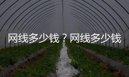網(wǎng)線(xiàn)多少錢(qián)？網(wǎng)線(xiàn)多少錢(qián)一米？電話(huà)線(xiàn)多少錢(qián)一米？