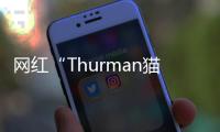 網紅“Thurman貓一杯”就編造“秦朗巴黎丟作業”道歉