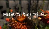 網紅絕對計劃2（網紅絕對計劃攻略）