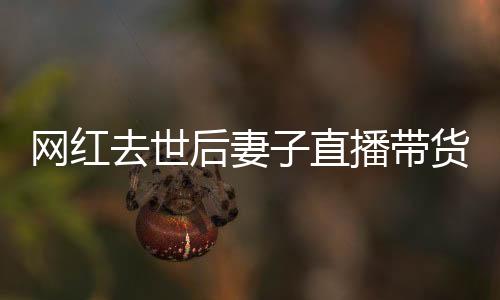網紅去世后妻子直播帶貨被封禁