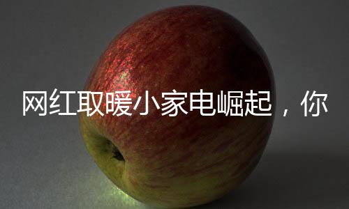 網紅取暖小家電崛起，你最鐘愛哪種取暖器？