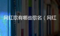 網(wǎng)紅歌有哪些歌名（網(wǎng)紅歌曲名字）