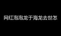 網紅泡泡龍于海龍去世怎么回事？于海龍去世原因是什么？
