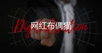 網紅布偶貓