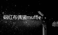 網紅布偶貓muffie