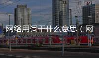 網絡用詞干什么意思（網絡詞語干貨什么意思）