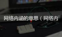 網絡內涵的意思（網絡內涵是指什么）