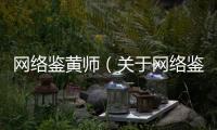 網絡鑒黃師（關于網絡鑒黃師的基本情況說明介紹）