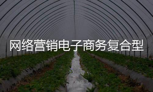 網(wǎng)絡(luò)營銷電子商務(wù)復(fù)合型人才成長與發(fā)展之路