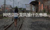 網絡詞臥龍鳳雛什么意思（臥龍鳳雛什么意思）