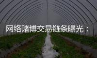 網絡賭博交易鏈條曝光：股東坐莊日吸賭資百萬