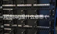 網(wǎng)絡(luò)bag是什么意思（bag什么意思網(wǎng)絡(luò)用語(yǔ)）