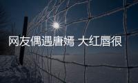 網友偶遇唐嫣 大紅唇很有氣場筷子腿搶鏡