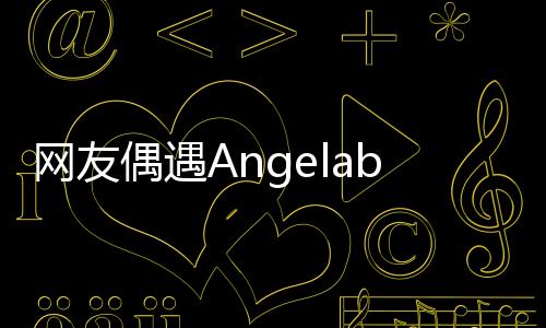 網友偶遇Angelababy獨自逛動物園 曬與路人合影