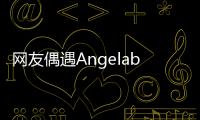 網友偶遇Angelababy獨自逛動物園 曬與路人合影