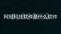 網冠科技軟件是什么軟件和網冠科技軟件是什么的情況說明