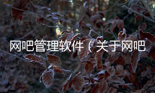 網(wǎng)吧管理軟件（關(guān)于網(wǎng)吧管理軟件的基本情況說(shuō)明介紹）