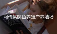 網(wǎng)傳某鱷魚養(yǎng)殖戶養(yǎng)殖場中 因暴雨導(dǎo)致6條鱷魚逃逸至金沙江