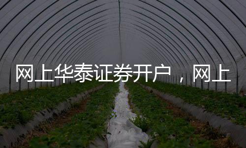 網上華泰證券開戶，網上華泰證券開戶具體流程