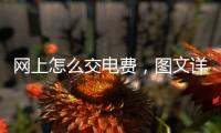 網上怎么交電費，圖文詳解