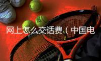 網(wǎng)上怎么交話費(fèi)（中國(guó)電信網(wǎng)上營(yíng)業(yè)廳）
