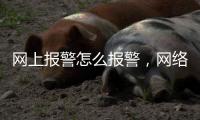網(wǎng)上報(bào)警怎么報(bào)警，網(wǎng)絡(luò)警察怎么報(bào)警