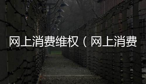 網上消費維權（網上消費）