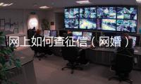 網上如何查征信（網婚）