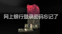 網(wǎng)上銀行登錄密碼忘記了怎么辦，網(wǎng)上銀行登錄密碼忘記了，怎么辦