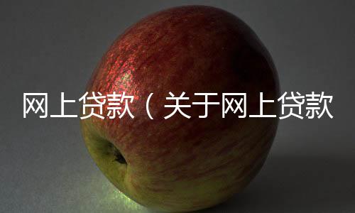 網上貸款（關于網上貸款的基本情況說明介紹）
