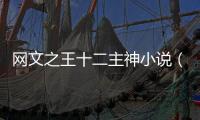 網(wǎng)文之王十二主神小說(shuō)（網(wǎng)文之王十二主神）