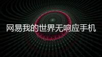 網易我的世界無響應手機（網易我的世界無響應）