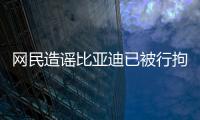 網民造謠比亞迪已被行拘 散布失實信息受懲
