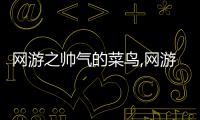 網游之帥氣的菜鳥,網游之菜鳥變英雄：一場驚心動魄的冒險之旅！