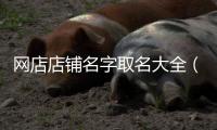 網店店鋪名字取名大全（比較旺的店鋪名字）