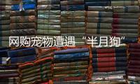 網(wǎng)購寵物遭遇“半月狗”，消保委出面調(diào)解挽損失