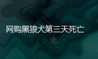 網(wǎng)購黑狼犬第三天死亡 被禁寄的活物咋進(jìn)的快遞箱