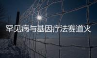 罕見病與基因療法賽道火熱，看醫(yī)療投資大佬如何投資