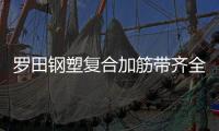 羅田鋼塑復合加筋帶齊全