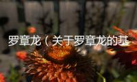 羅章龍（關(guān)于羅章龍的基本情況說(shuō)明介紹）
