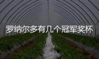 羅納爾多有幾個冠軍獎杯？羅納爾多參加過幾次世界杯？